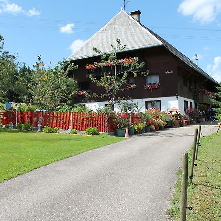 Ferienwohnung Schwarzwaldhof Titisee-Neustadt Exterior foto