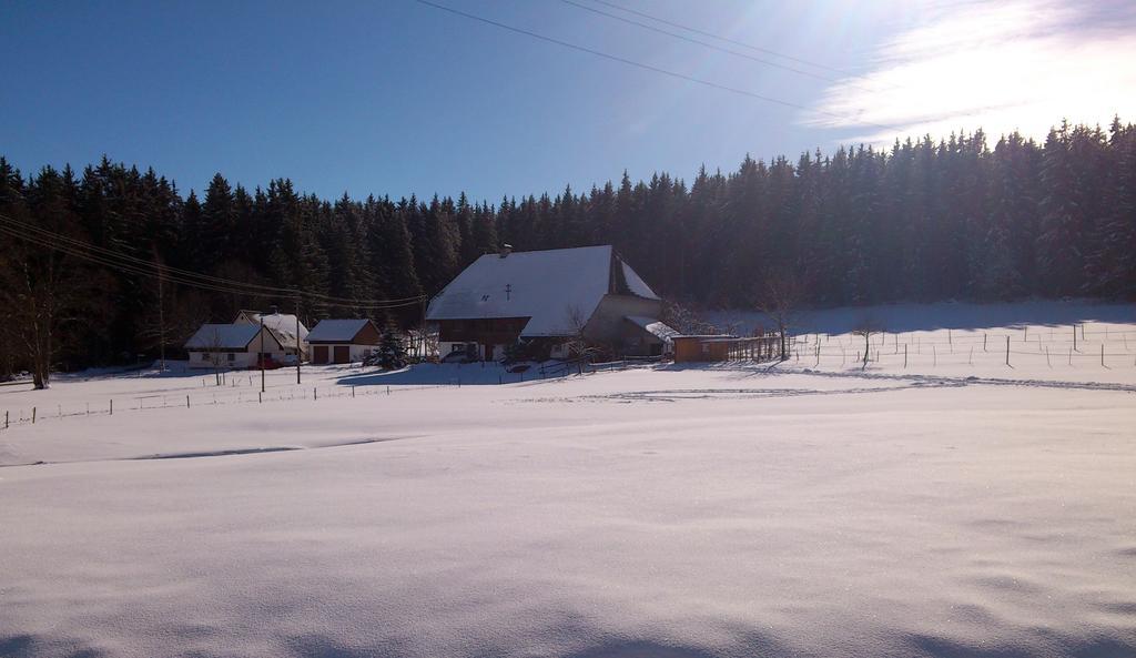 Ferienwohnung Schwarzwaldhof Titisee-Neustadt Exterior foto